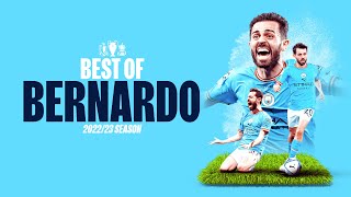 BEST OF BERNARDO SILVA 2223  Fantastic goals and assists [upl. by Amsa]