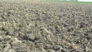 Claas Xerion 3800 VC  MAAG The Futurewmv [upl. by Pepper]