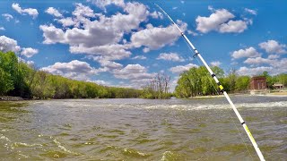 River Fishing for Channel Catfish in Wisconsin with Cutbait [upl. by Adiuqram]