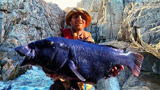 3 DAYs Cliff Fishing and Camping  HUGE BLUE GROPER  Only Eating What I Catch Part 3 [upl. by Picardi556]