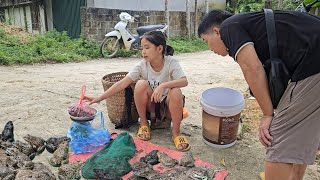 The orphan girl caught frogs to sell at the market Ly Thi Truc [upl. by Elvia]