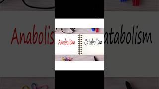 ANABOLISM AND CATABOLISM anabolismcatabolism  WHAT IS ANABOLISM AND CATABOLISM metabolism [upl. by Deborah]