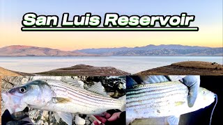 San Luis Reservoir Fishing Below Romero Overlook Visitor Center [upl. by Alil]