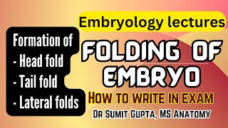 Folding of embryo  General embryology [upl. by Beasley]