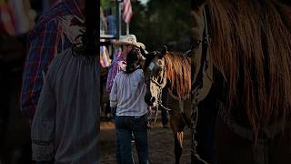 Western Wednesday Bronc riding edition rodeo aqha horse cowboy music entertainment fyp [upl. by Llevra]