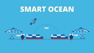 Hellmann Worldwide Logistics Smart Ocean [upl. by Krug]