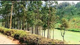 BEST TOURIST ATTRACTION SITES IN KENYA MUROMUTUA VILLAGE IN IGEMBE NORTH MERU COUNTY AERIAL VIEW [upl. by Damian]