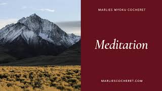 Marlies Myoku Cocheret  Meditation  Ebb and Flow [upl. by Arze]