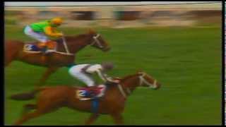 1986 Cox Plate Bonecrusher vs Our Waverley Star [upl. by Haswell231]