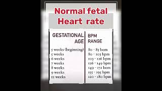 Normal fetal heart rate baby pregnany pregnancyjourney [upl. by Oirotciv609]