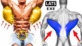 How to Build a V Tapered Back  5 EFFECTIVE EXERCISES [upl. by Merola960]