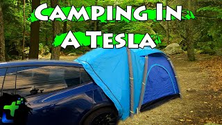 Camping In A Tesla Model Y 7 Seater  Reviewing Camping Gear Made For Tesla [upl. by Sharos]