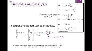 037Catalytic Mechanisms [upl. by Naleag]