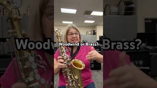 Should it be called a woodwind 🤔 banddirector band woodwind flute brass clarinet trumpet [upl. by Lubeck]