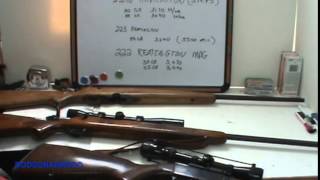 Survival Weapons 222 Remington Rifles amp Combination guns [upl. by Gennifer]