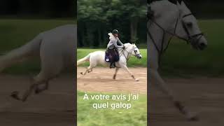 À votre avis j’ai quel galop🤔 [upl. by Walczak]