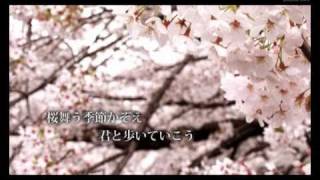 Tiara「桜 〜君がいた場所〜 feat KJ」Photo Trailer Video（short ver） [upl. by Esil66]