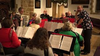 White Christmas  Dorset Accordion Orchestra  2022 [upl. by Otanutrof]