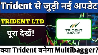 TRIDENT SHARE LATEST NEWS  क्या होगा शेयर मी आगे trident [upl. by Collyer768]