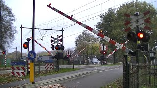 Spoorwegovergang Rosmalen  Dutch railroad crossing [upl. by Chrisman]