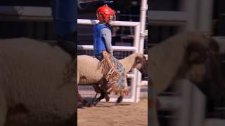 6yearold rodeo star rides sheep shorts [upl. by Sparkie]