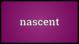 Nascent Meaning [upl. by Parks]