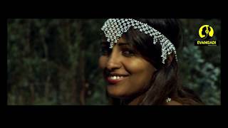 Nigusu Tamirat Official Video Ethiopian Music [upl. by Ayahs415]