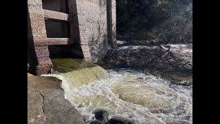 Quick stop off at the sulfur spring nature beautyofnature floridalife whitesprings [upl. by Yeorgi]