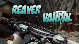 REAVER VANDAL SKIN GAMEPLAY WHITE  VALORANT REAVER SKINS [upl. by Theran70]