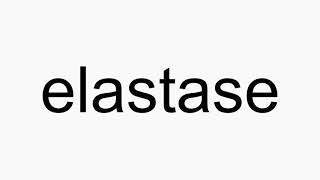 How to pronounce elastase [upl. by Katlin]