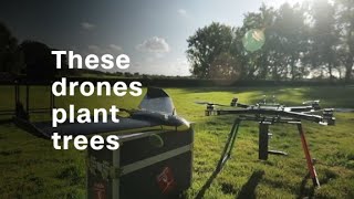 Treeplanting drones hope to fight deforestation [upl. by Erb]