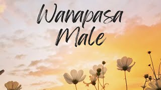 Wanapasa Male  Female Version  A Short Cover by Hashmi Sathnara Mihiran [upl. by Kincaid857]