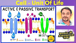 Transport Across Cell Membrane  Active amp Passive NCERT CBSE Class 11 NEET [upl. by Giana299]