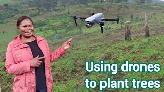 How drones are being used to plant trees and manage forests  PART 3 [upl. by Gnehc815]