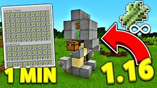 HOW TO MAKE A ZEROTICK SUGAR CANE FARM IN MCPE 116  Minecraft Bedrock Edition PE W10 Xbox [upl. by Wilonah44]