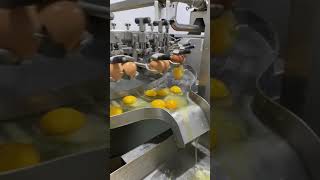 Egg Production Factory eggeggfactoryeggproductionfactoryeggproduction [upl. by Analart]