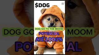 4 CRIPTOMOEDAS MEMES EXPLOSIVAS POTENCIAL MILIONÁRIO DOG GO TO THE MOOM [upl. by Eimac]