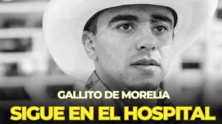 Gallito de Morelia se encuentra en recuperación [upl. by Aiehtela411]