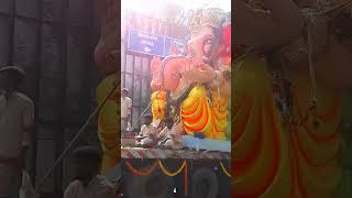 Ganpati Bappa morye 🚩🚩🙏ganesh chaturthi shorts 2024 [upl. by Pouncey]