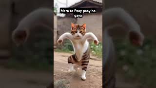 🥰Mera dhamakedar dance cat cuteanimal cute cutecat funny [upl. by Lasyrc]