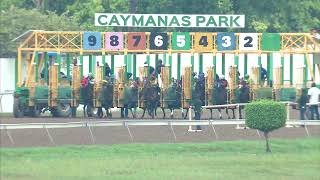 Caymanas Park Jamaica  Sunday August 27 2023 LIVE STREAM [upl. by Laurin]