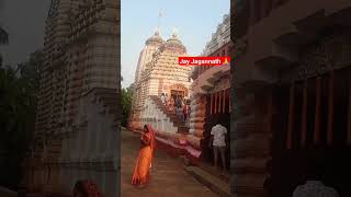 Kartika masa special Status videotreding song Odia Bhajan songjay Jagannath 🙏🙏 [upl. by Karlan]