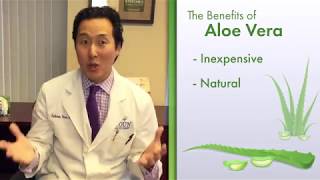 Topical Aloe Vera Gel for Accelerated Wound Healing —Video Discussion by Anthony Youn MD [upl. by Mehalek]