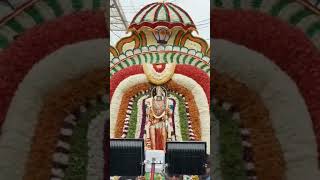 ప్రొద్దుటూరు లో విజయదశమి సందర్భంగా… dasara devotionalsongs [upl. by Naejarual]