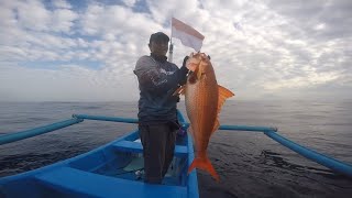 MANCING JIGGING STRIKE RUBBY SNAPPER BABON ‼️ [upl. by Ahtamas129]