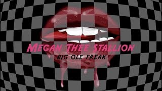 Megan Thee Stallion  Big Ole Freak Official Lyric Video [upl. by Eaned]