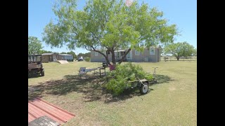 Safely trimming a Mesquite tree [upl. by Nitsur612]