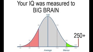 I took an IQ test and the results were SHOCKING [upl. by Anilejna]