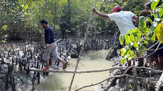 Bongobondu Island and ShekherTek Temple Sundarban [upl. by Adnoraj]