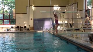 Teach a Flip for Springboard Diving [upl. by Utter]